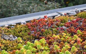 the cost of Treforgan green roof installation