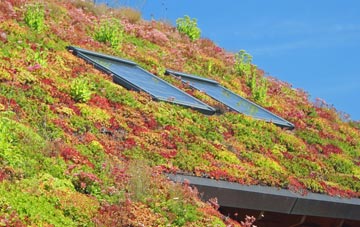 Treforgan living roof systems